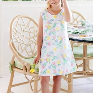 NWT The Beaufort Bonnet Company Anne Charlotte Shift Dress